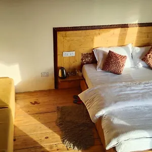 Tree Nest Resort